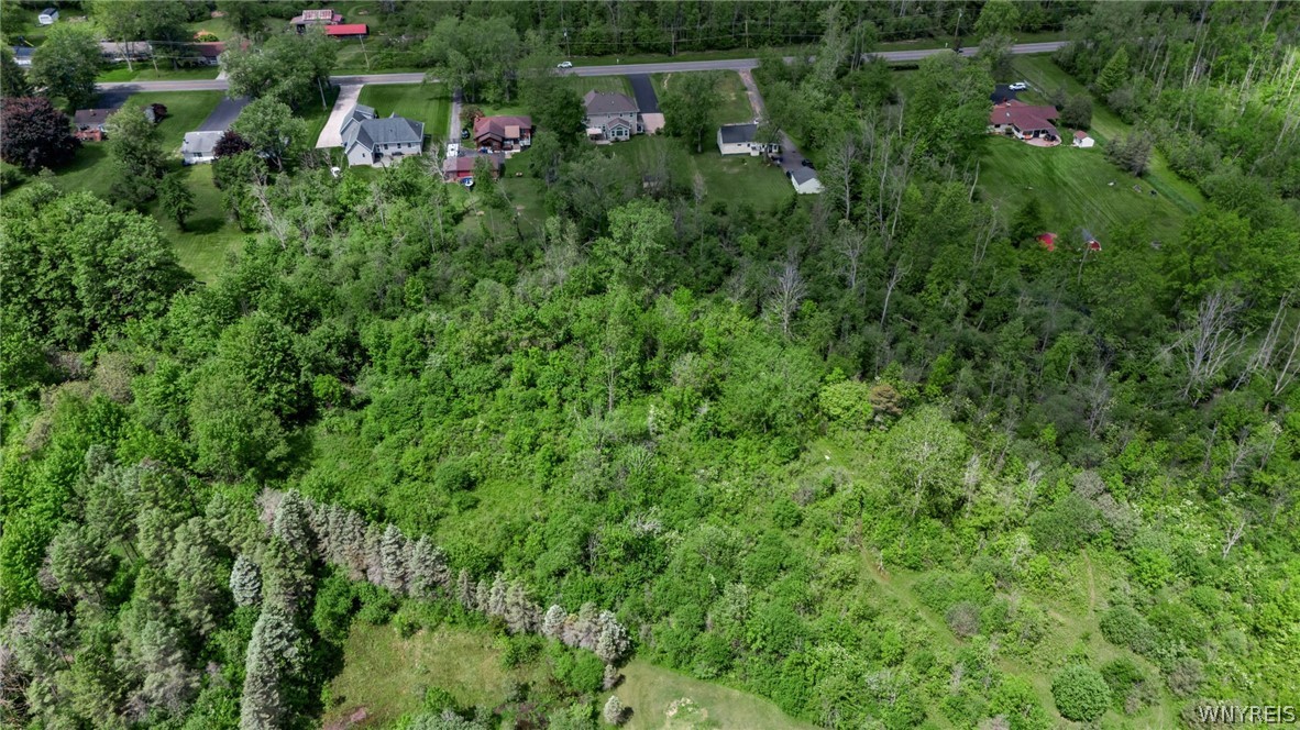 6361 Main Road Pendleton, NY 14094 - Photo 44 of 50