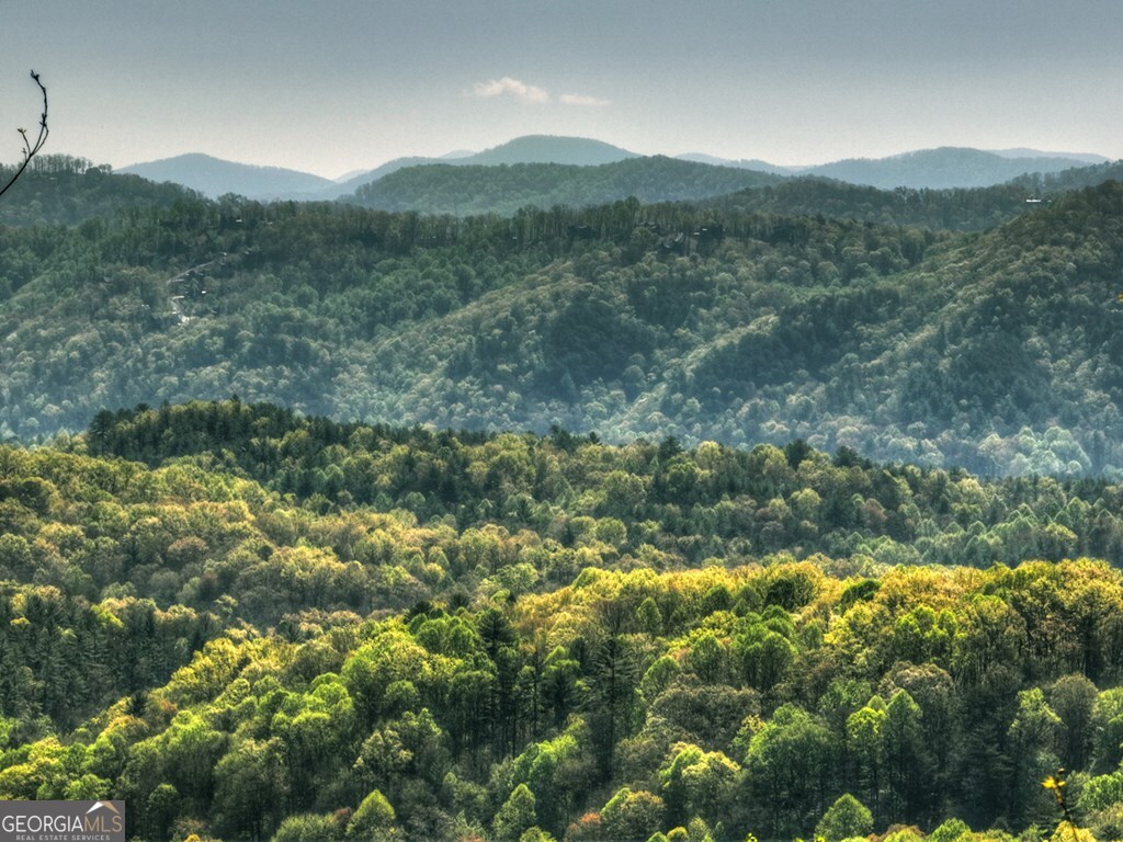 783 North Moreland Drive North Blue Ridge, GA 30513 - Photo 13 of 54 a view of a lush green forest with lush green forest