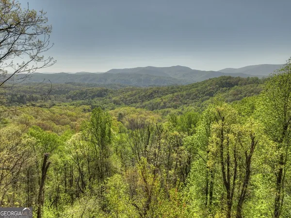 front view of a house with a trees
