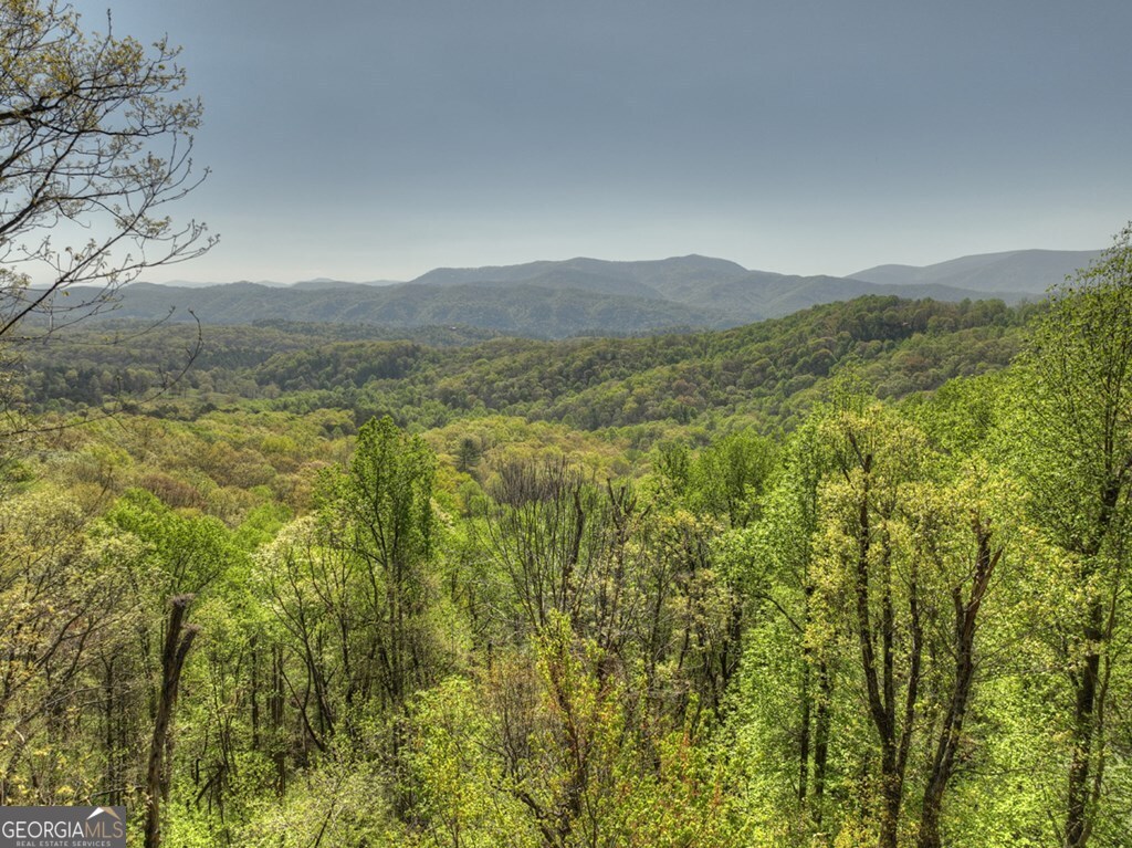 783 North Moreland Drive North Blue Ridge, GA 30513 - Photo 15 of 54 a view of a lush green forest with trees in the background
