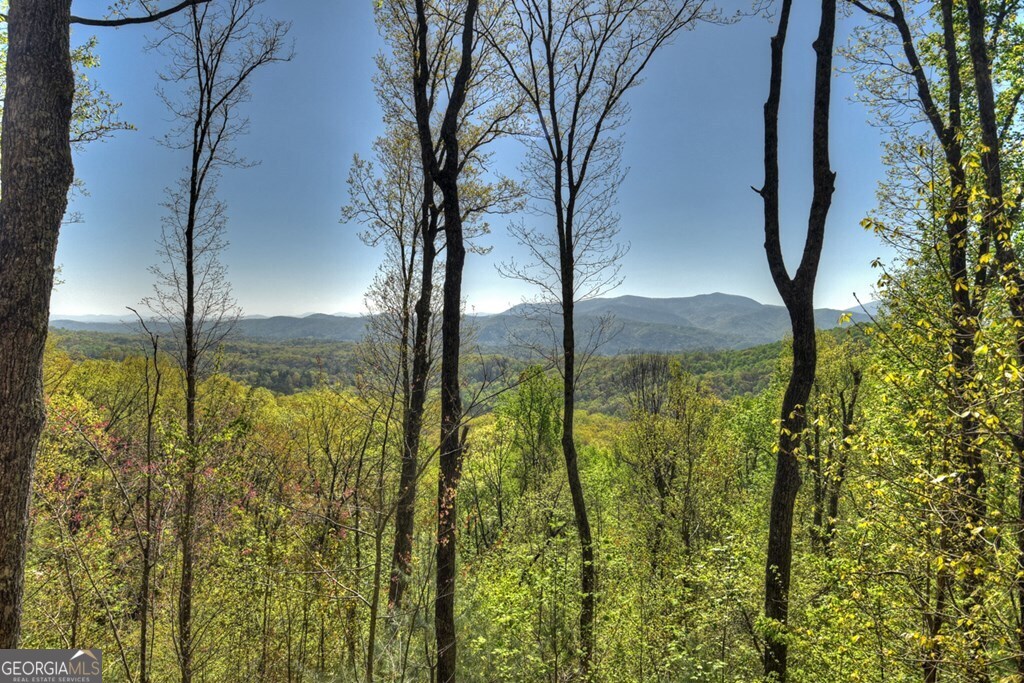 783 North Moreland Drive North Blue Ridge, GA 30513 - Photo 27 of 54