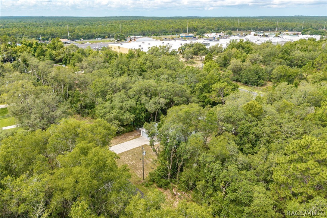 134 South Fitzpatrick Avenue Inverness, FL 34453 - Photo 36 of 45