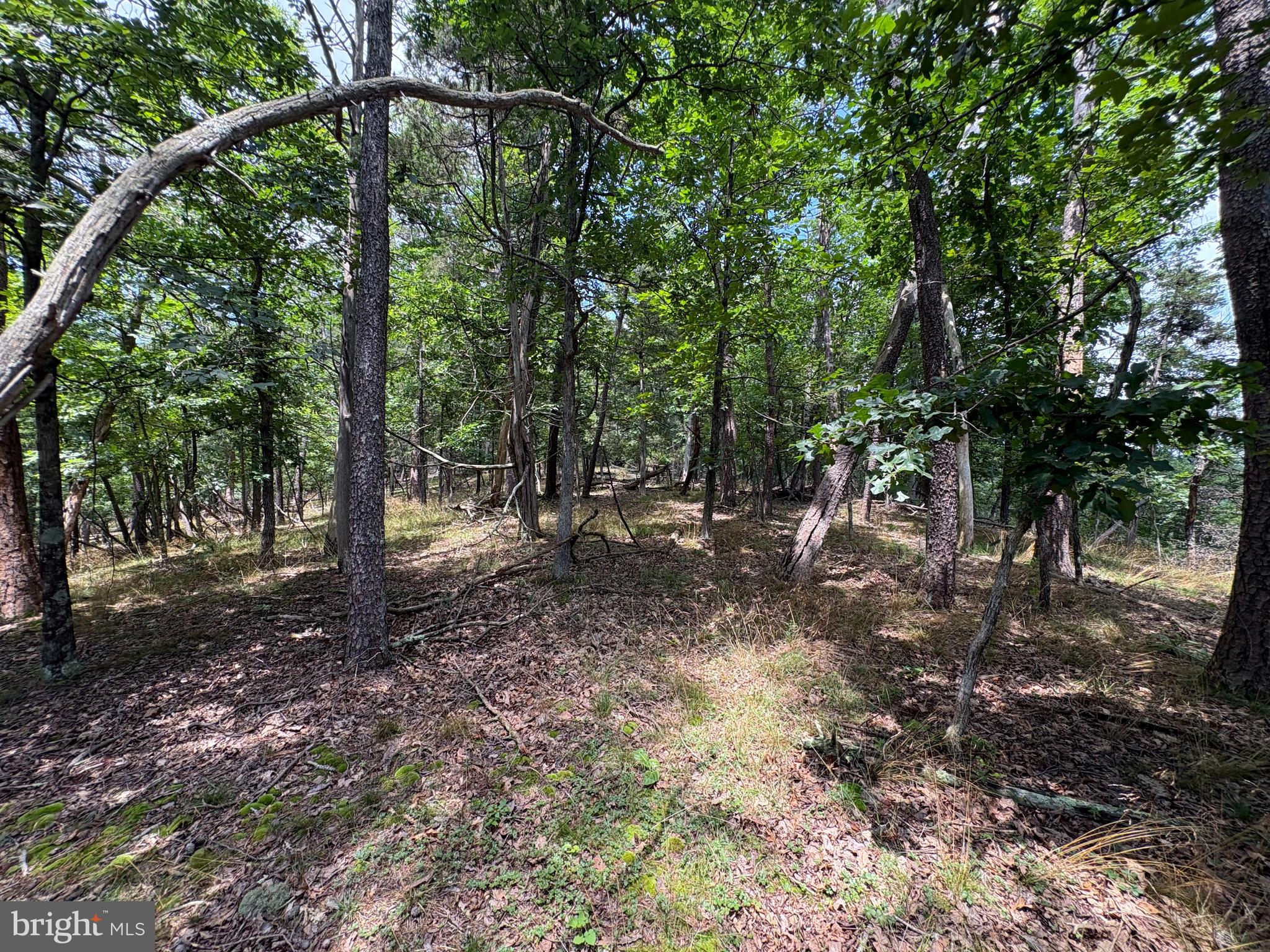 7313 Little Cacapon Road Romney, WV 26757 - Photo 9 of 18