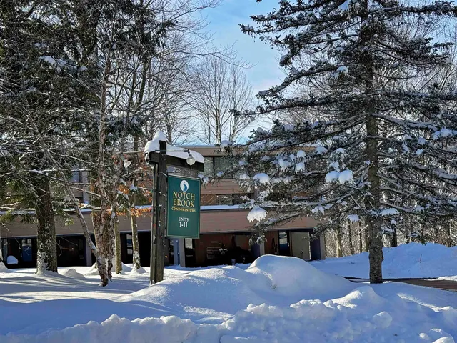 $795,000 | 1307 Notchbrook Road, Unit 11 ABC, Stowe, VT 05672