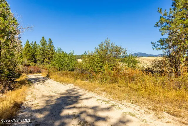 $599,000 | Nna Coldwater Lane, Desmet, ID 83824