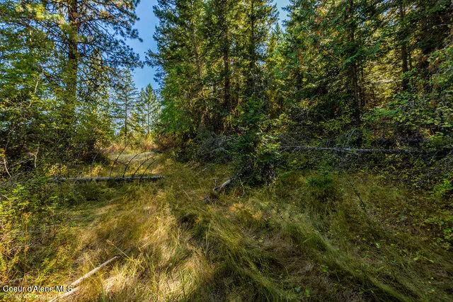 $599,000 | Nna Coldwater Lane, Desmet, ID 83824