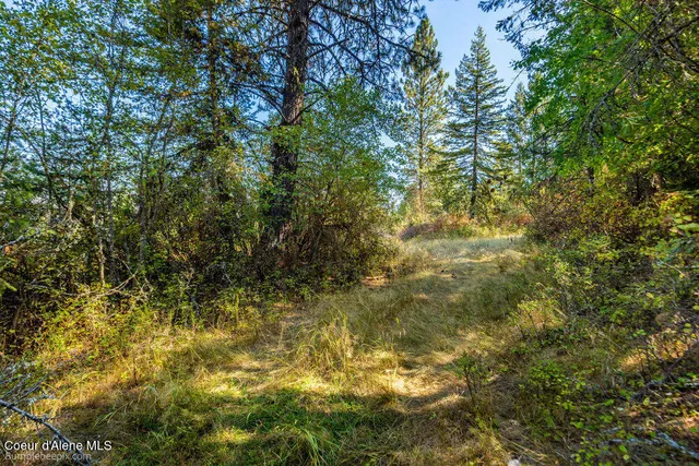 $599,000 | Nna Coldwater Lane, Desmet, ID 83824