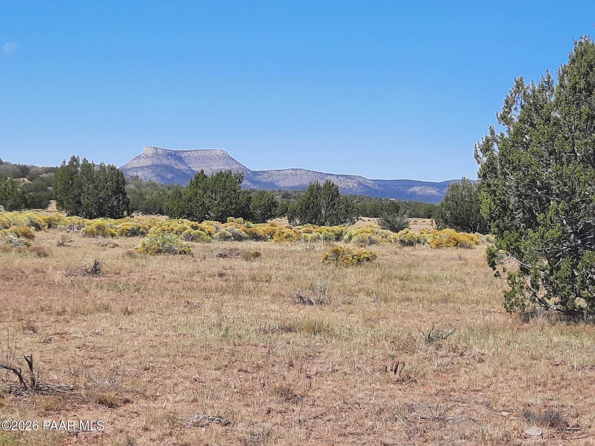 Lot 1371 Last Chance Road Seligman, AZ 86337 - Photo 3 of 20 20261001_113741