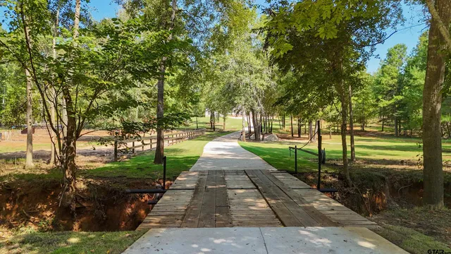 a park with large trees