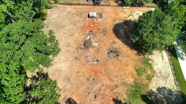 a view of a house in a forest