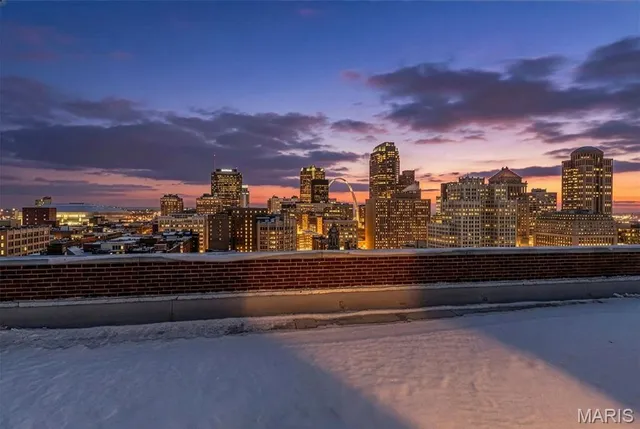 $124,900 | 1501 Locust Street, Unit 1102, St. Louis, MO 63103