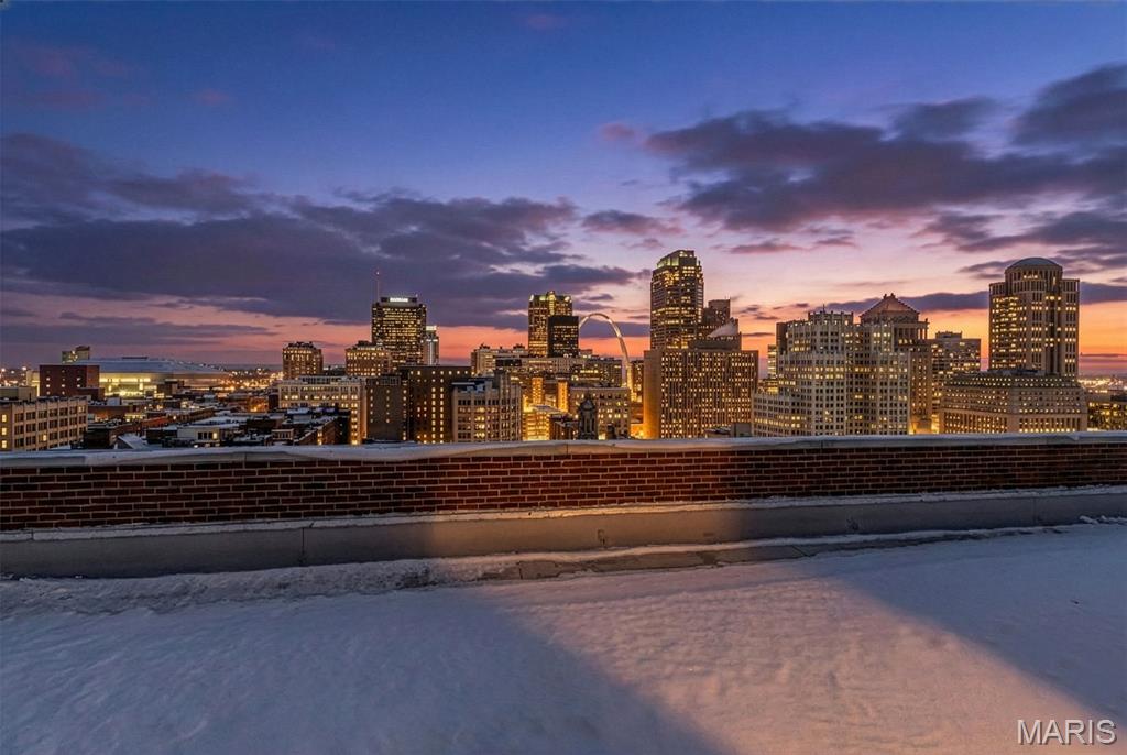 1501 Locust Street, Unit 1102 St. Louis, MO 63103 - Photo 22 of 22