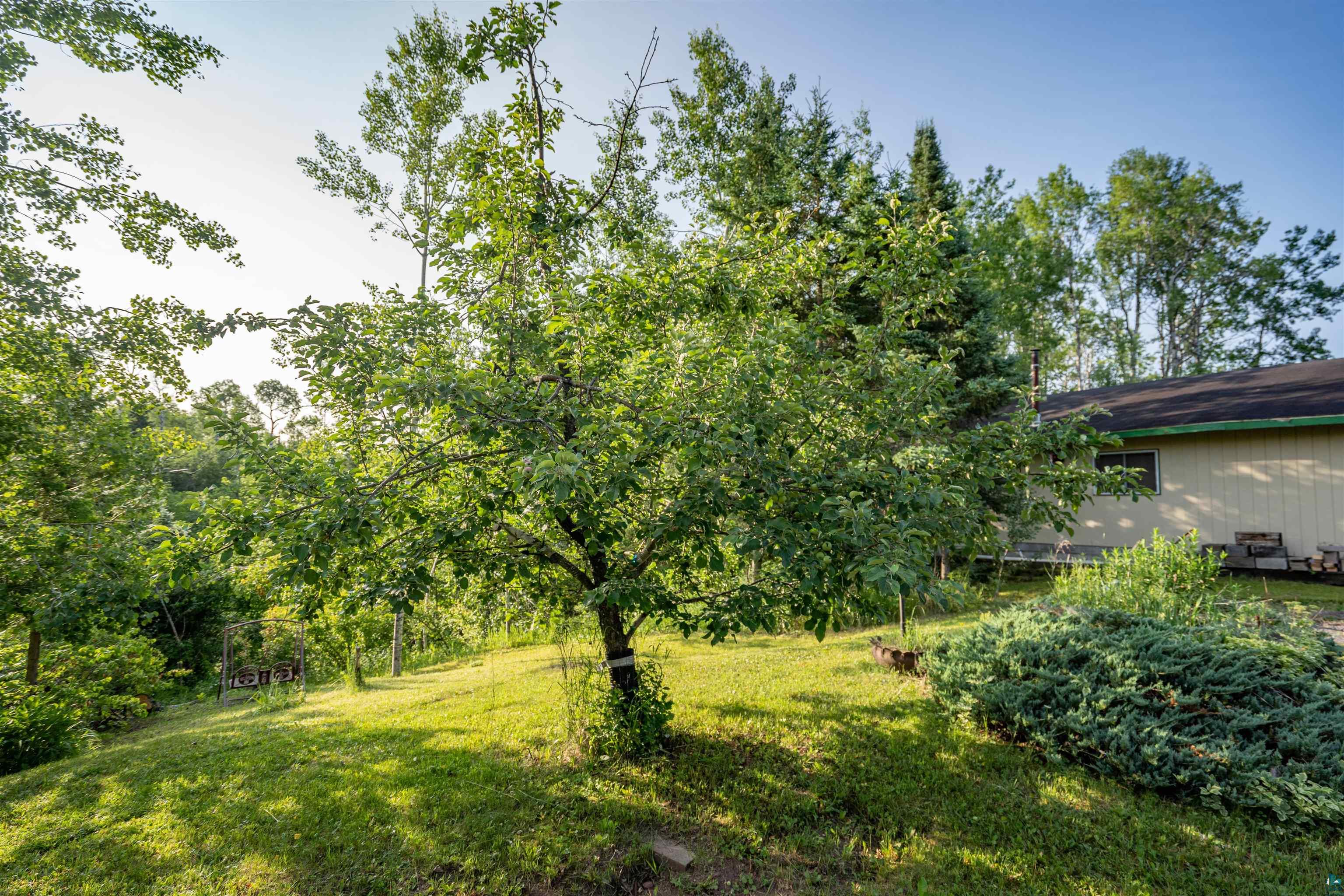 6746 South Warring Road Foxboro, WI 54836 - Photo 17 of 21