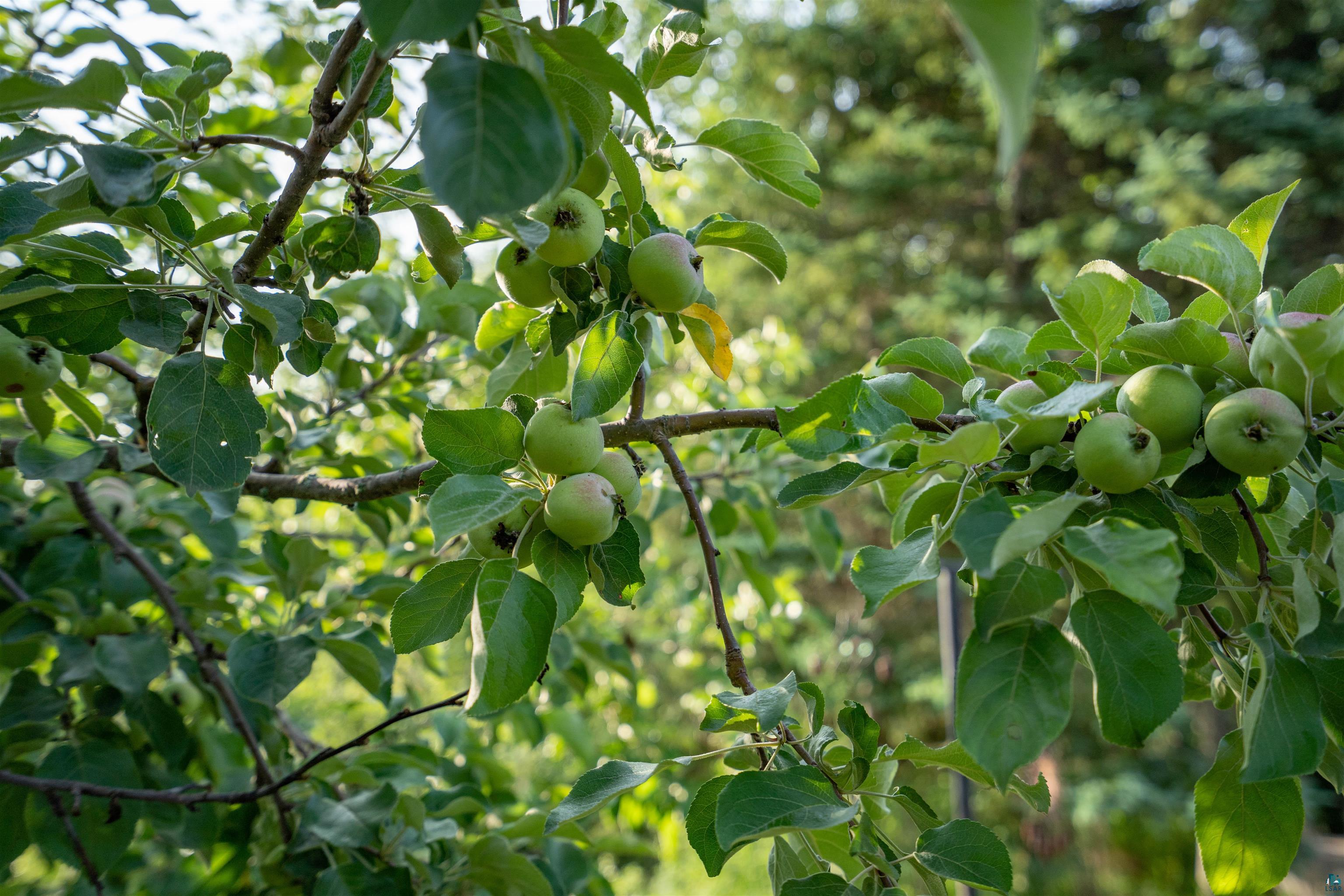 6746 South Warring Road Foxboro, WI 54836 - Photo 18 of 21