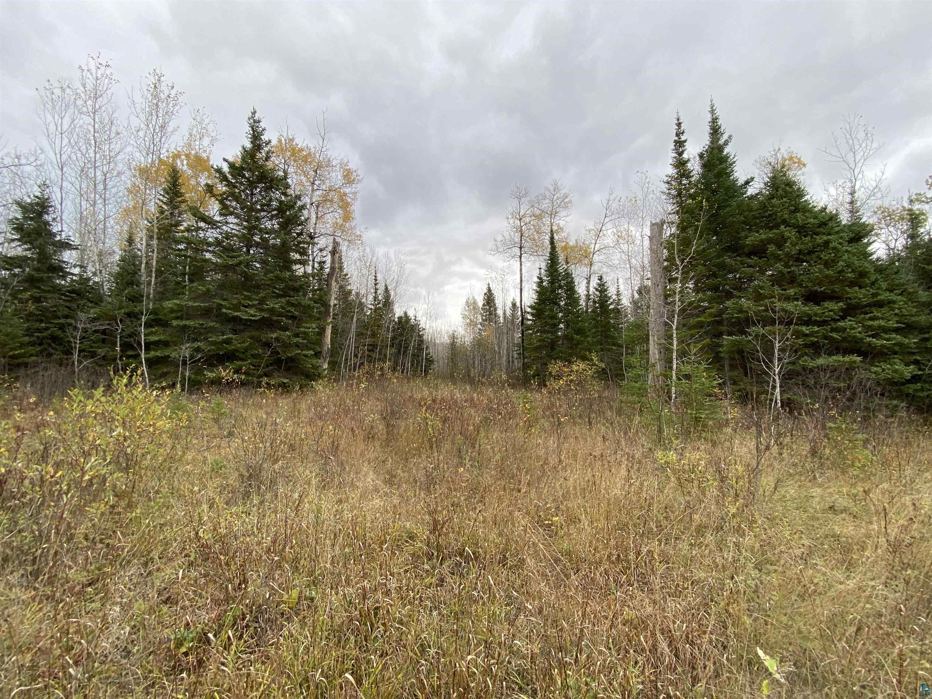 Xyz Xyz Diagonal Road Hovland, MN 55606 - Photo 1 of 12 Gallery Image 1