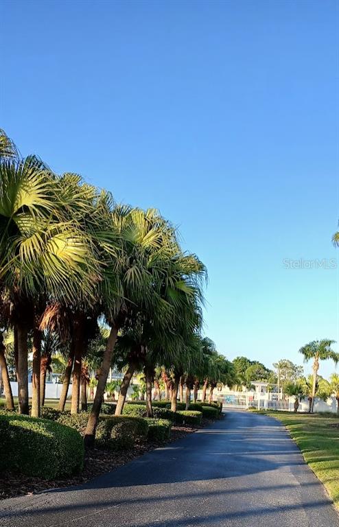 278 Pine Loop Frostproof, FL 33843 - Photo 4 of 40 a view of a yard