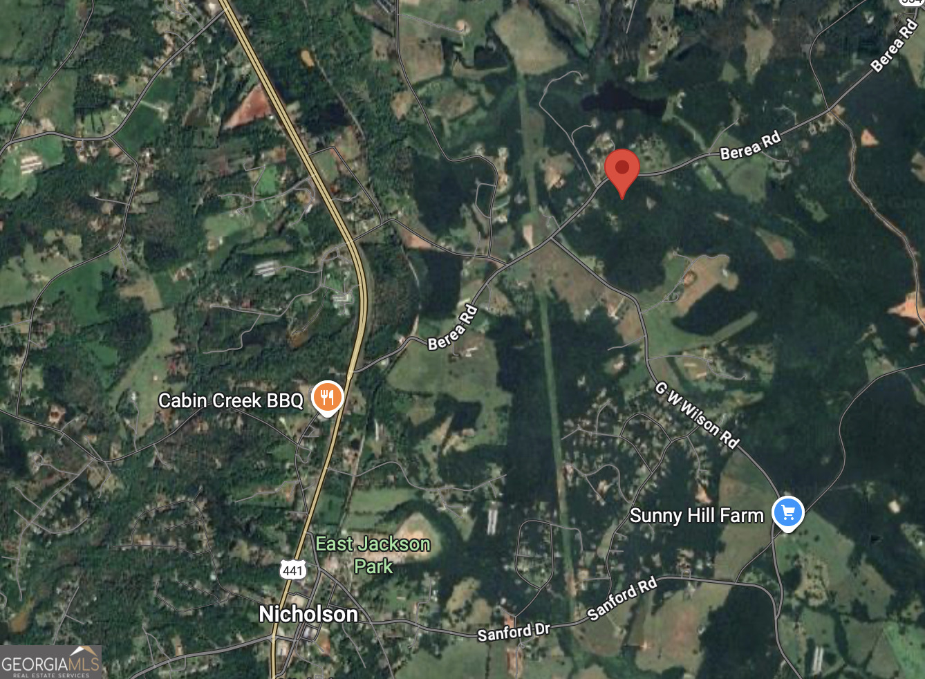 0 Berea Road Commerce, GA 30529 - Photo 2 of 10 a picture of tree