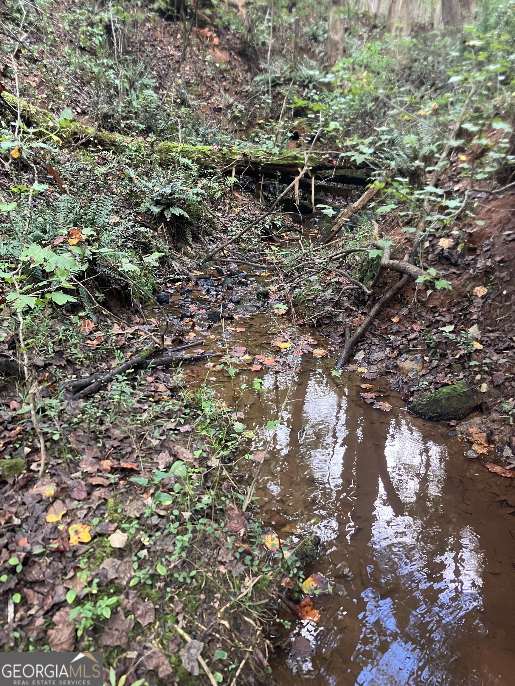 0 Berea Road Commerce, GA 30529 - Photo 5 of 10 a view of a tree in a yard