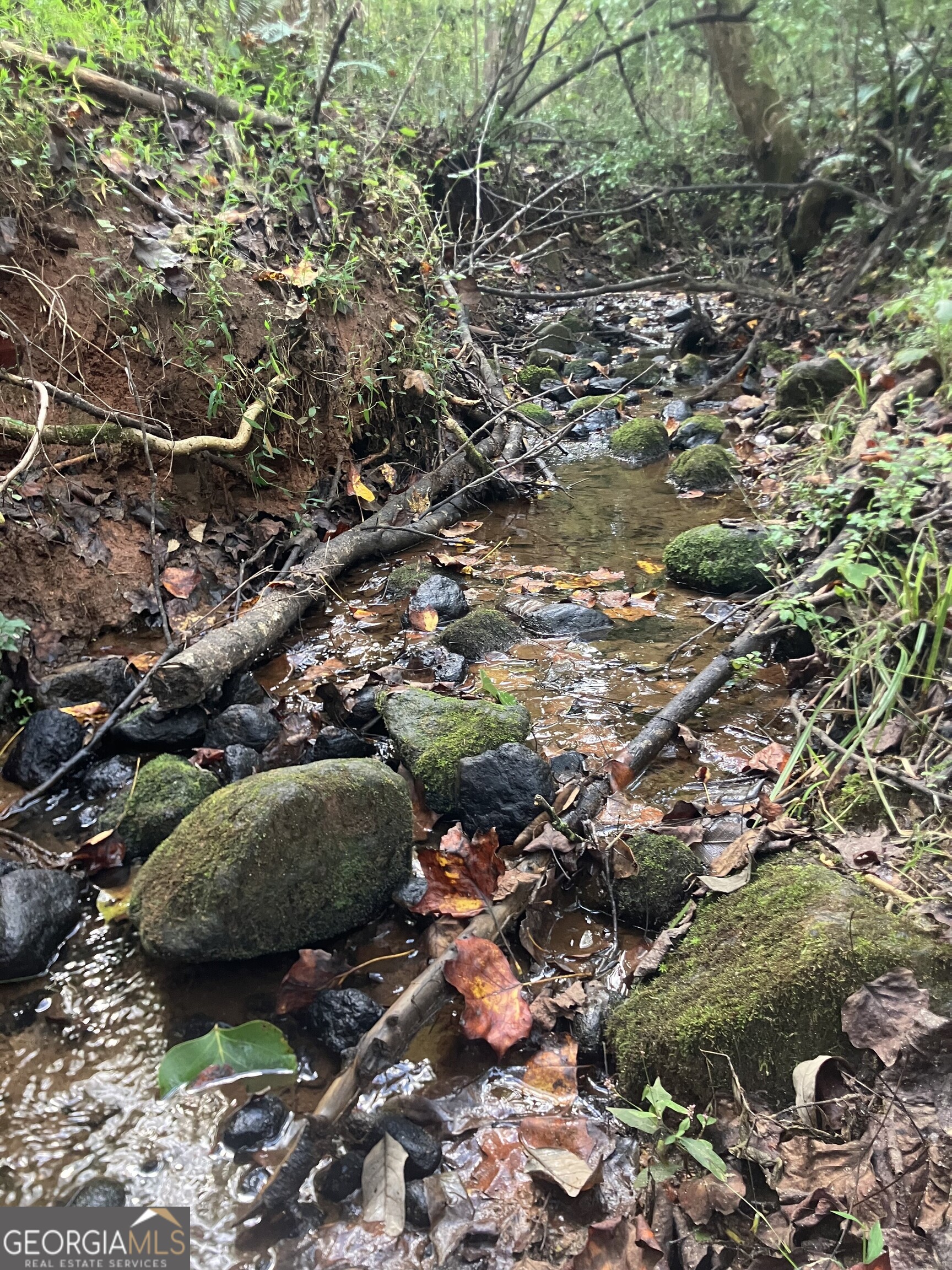 0 Berea Road Commerce, GA 30529 - Photo 6 of 10