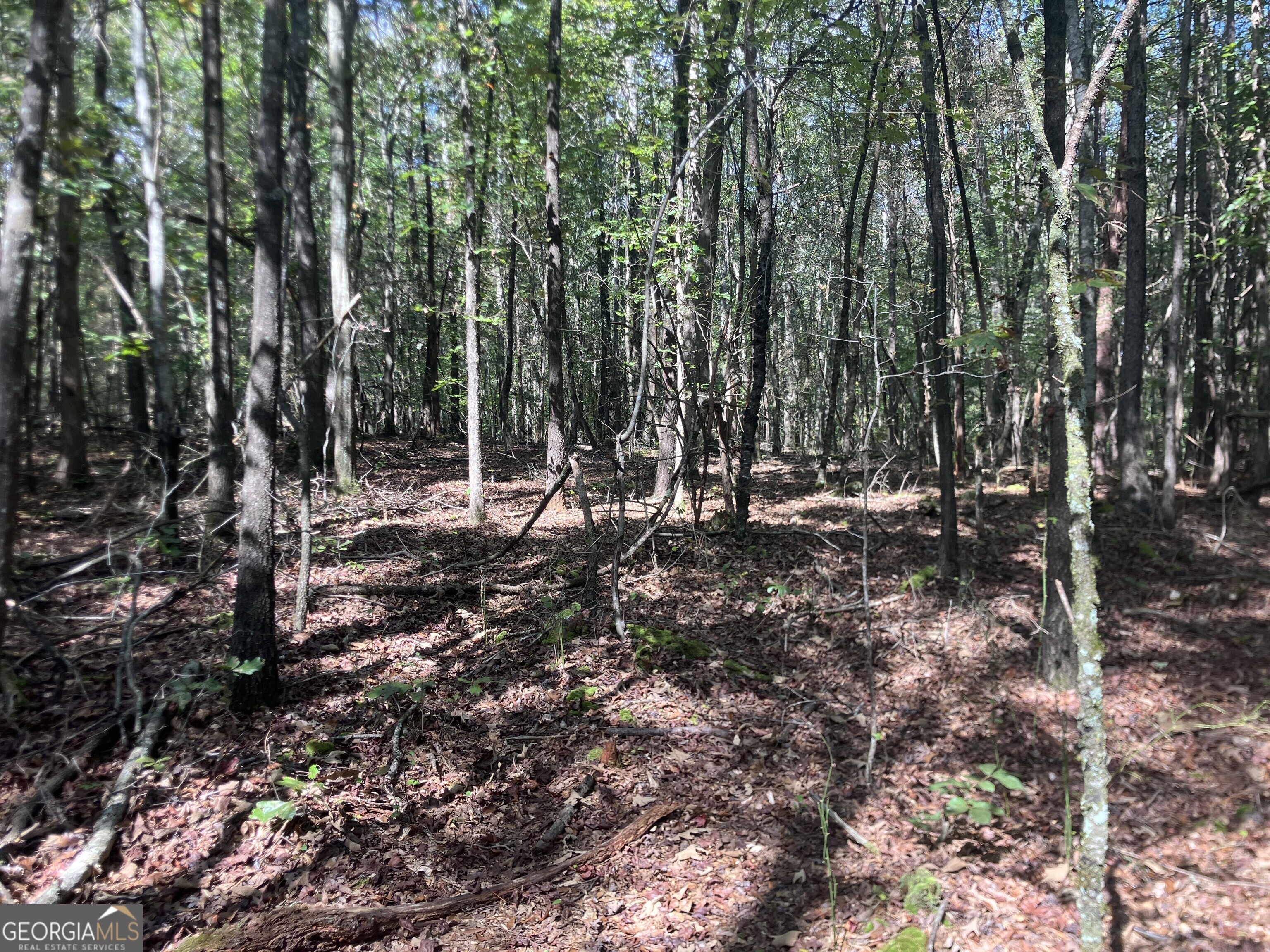 0 Berea Road Commerce, GA 30529 - Photo 9 of 10 a view of outdoor space with trees