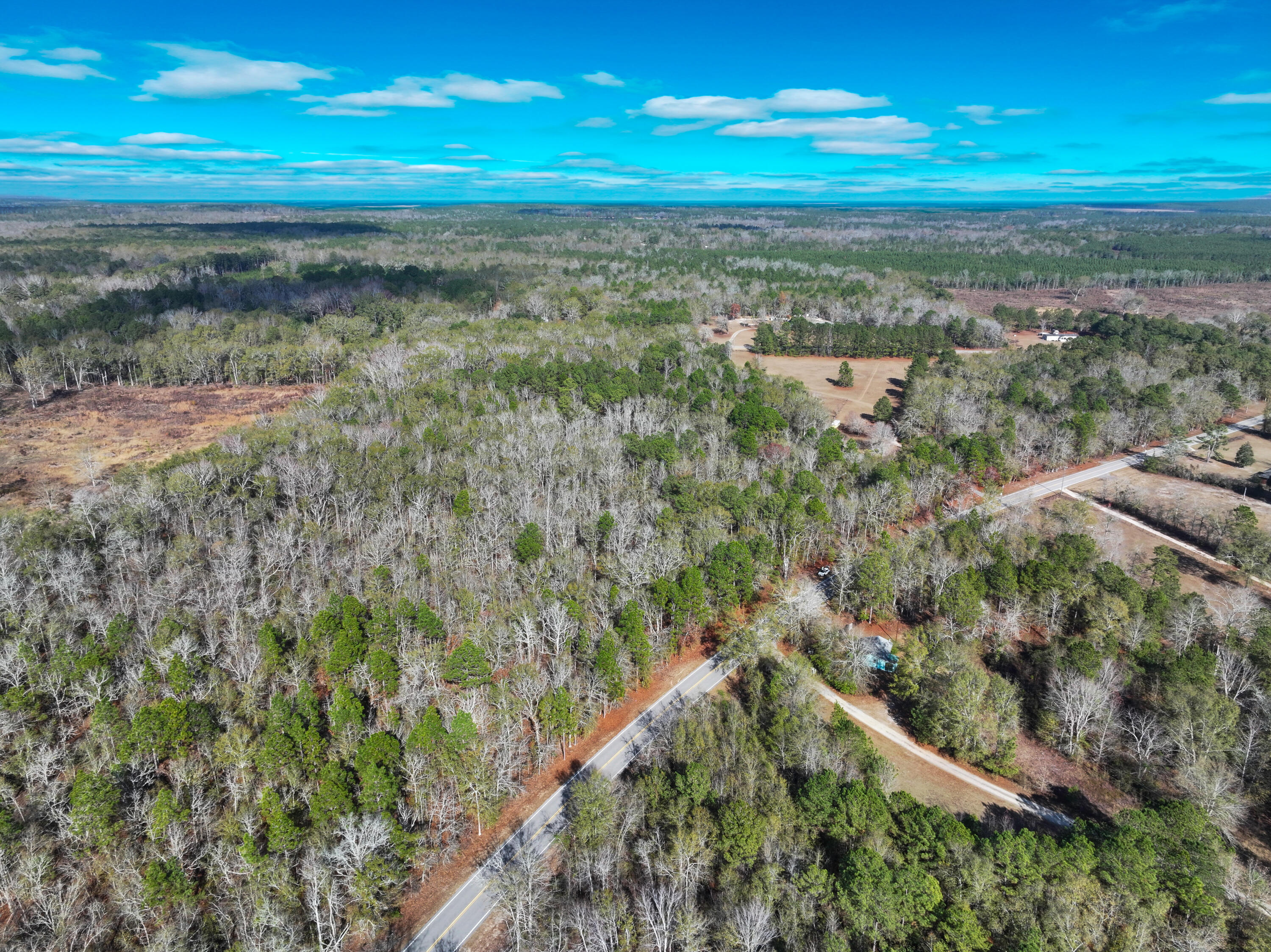 0 Camp Rawls Road Wagener, SC 29164 - Photo 7 of 17 Gallery Image 7
