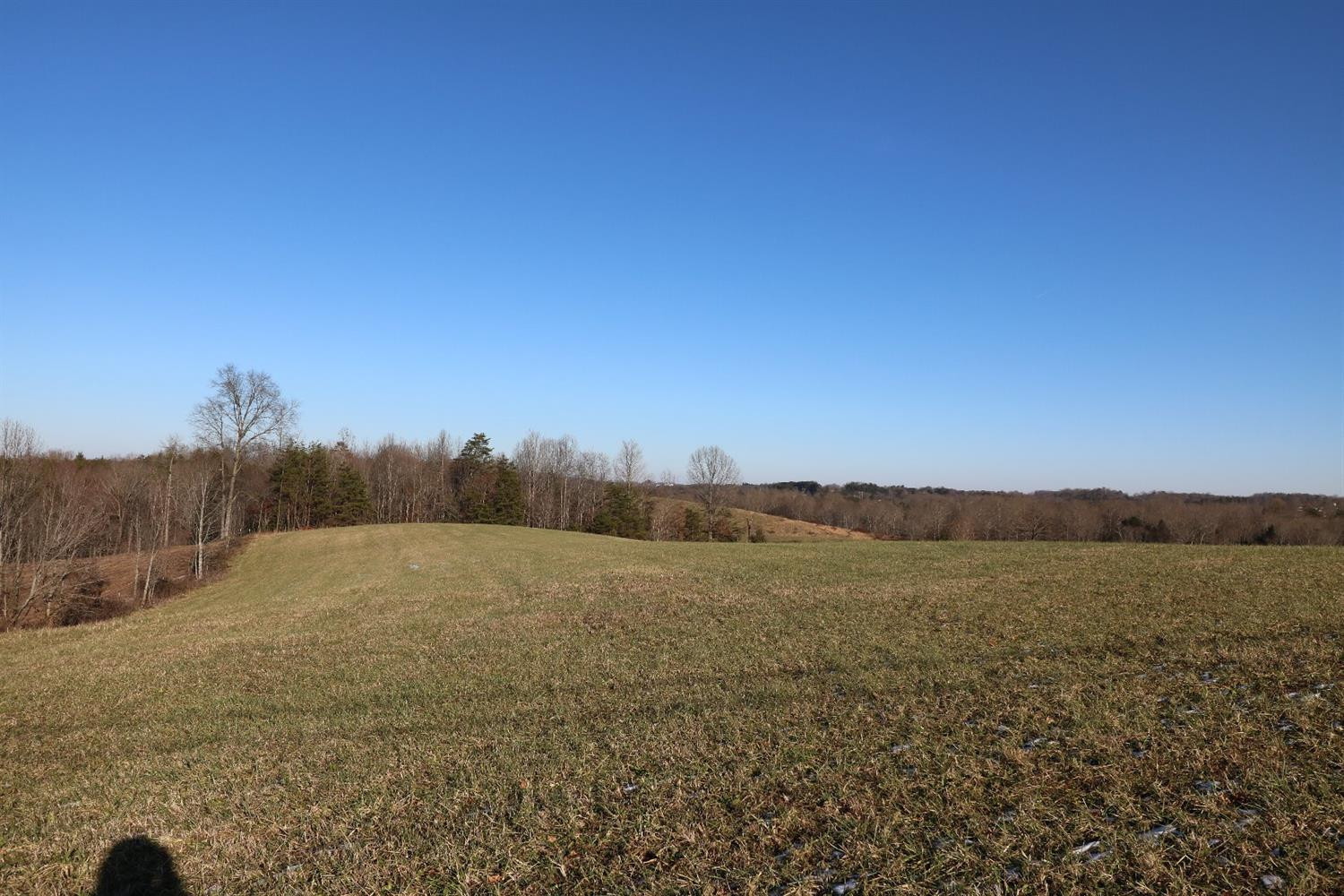 5 Willie Green Road London, KY 40741 - Photo 2 of 9 Listing Photo