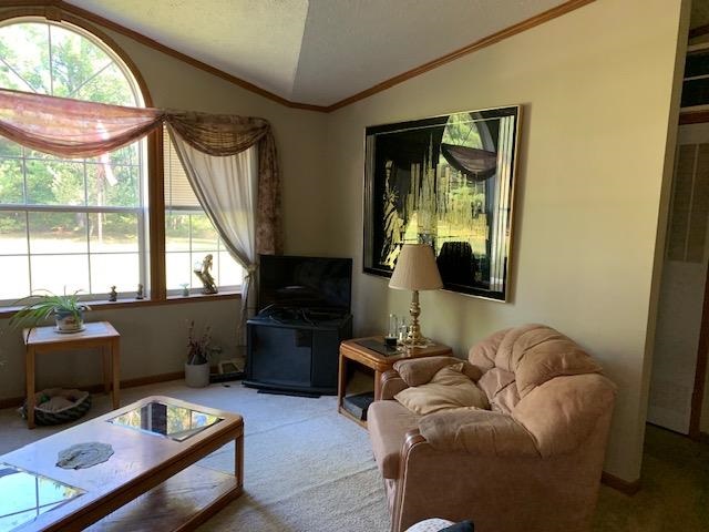 5239 Turtle Road Turner, MI 48765 - Photo 4 of 28 1893000-3.JPG