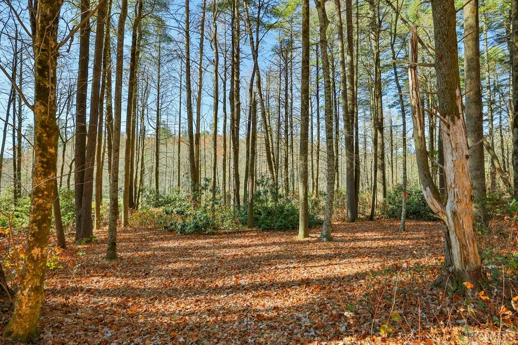 80 Flagstone Road Sapphire, NC 28774 - Photo 4 of 10 Gallery Image 4