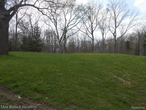 0 Orchard Lake Road West Bloomfield, MI 48323 - Photo 1 of 1