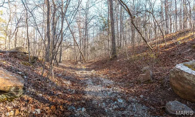 $155,000 | 0 County Road 513, Winona, MO 65588