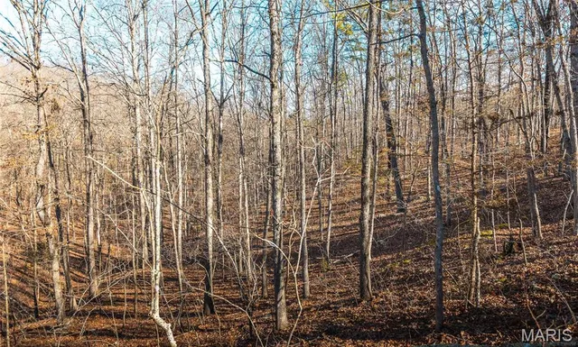 $155,000 | 0 County Road 513, Winona, MO 65588