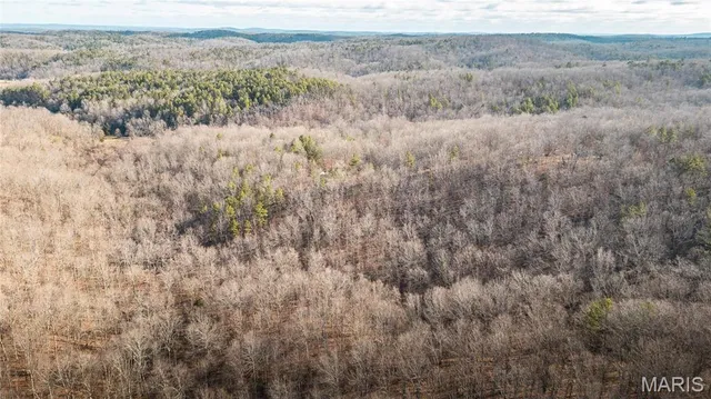 $155,000 | 0 County Road 513, Winona, MO 65588