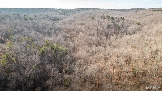 $155,000 | 0 County Road 513, Winona, MO 65588