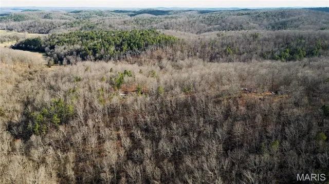 $155,000 | 0 County Road 513, Winona, MO 65588