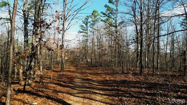 $155,000 | 0 County Road 513, Winona, MO 65588