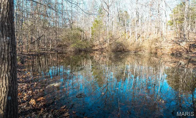 $155,000 | 0 County Road 513, Winona, MO 65588