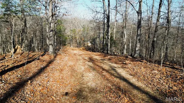 $155,000 | 0 County Road 513, Winona, MO 65588