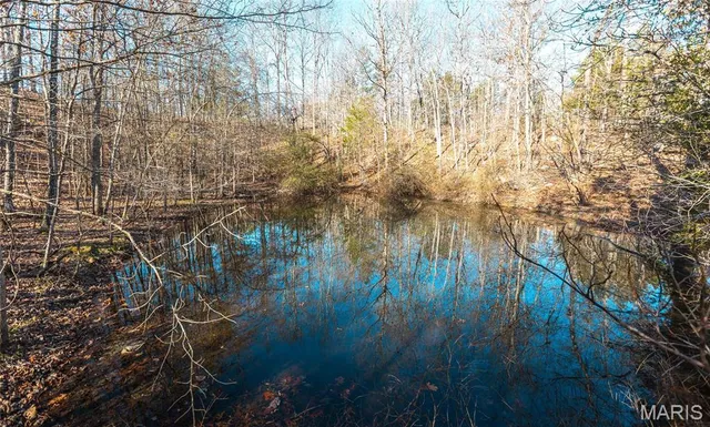 $155,000 | 0 County Road 513, Winona, MO 65588