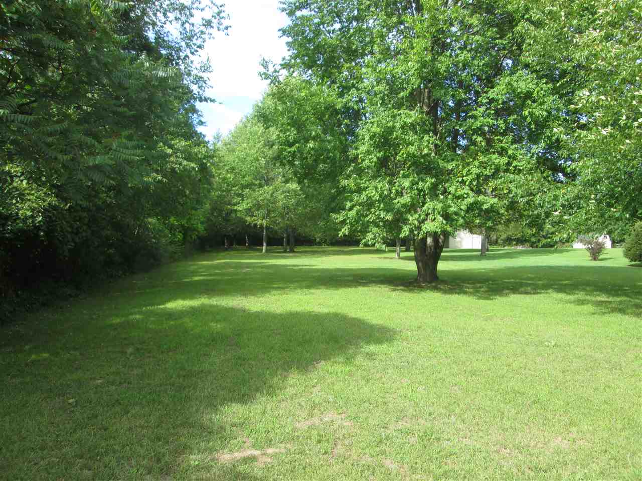 35665 Pratt Road Memphis, MI 48041 - Photo 4 of 6