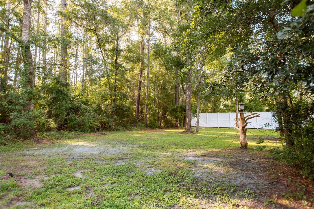 7126 Highway 301 Nahunta, GA 31553 - Photo 29 of 34
