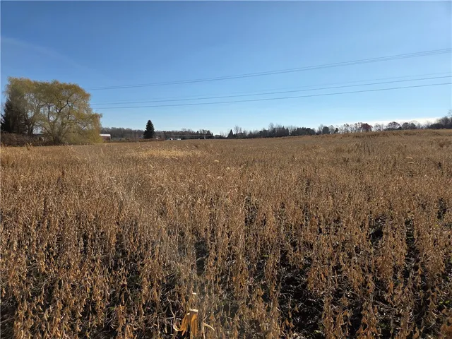 $130,000 | 0 Rte 96a Lodi Ny 14521, Interlaken, NY 14847