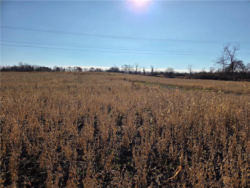 0 Rte 96a Lodi Ny 14521 Interlaken, NY 14847 - Photo 2 of 30