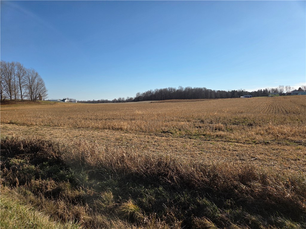 0 Rte 96a Lodi Ny 14521 Interlaken, NY 14847 - Photo 3 of 30