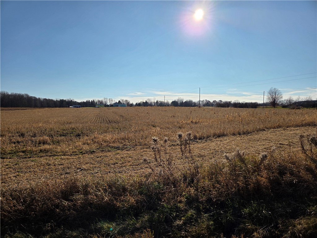 0 Rte 96a Lodi Ny 14521 Interlaken, NY 14847 - Photo 4 of 30