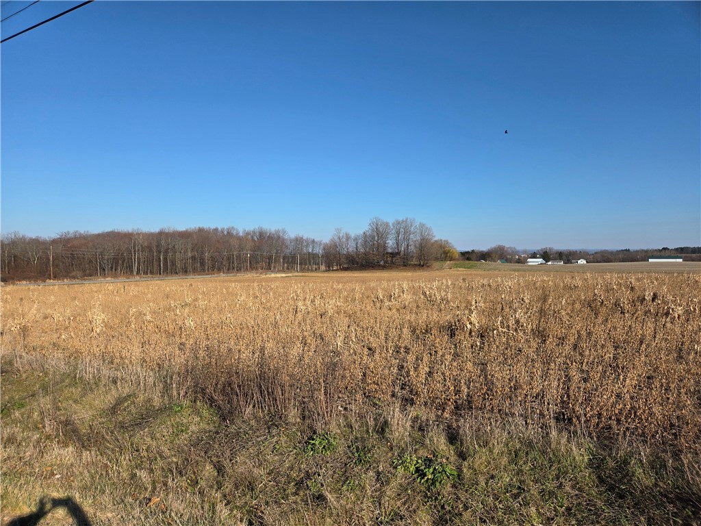 0 Rte 96a Lodi Ny 14521 Interlaken, NY 14847 - Photo 5 of 30