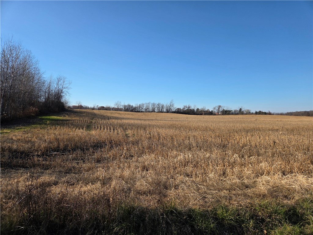 0 Rte 96a Lodi Ny 14521 Interlaken, NY 14847 - Photo 9 of 30