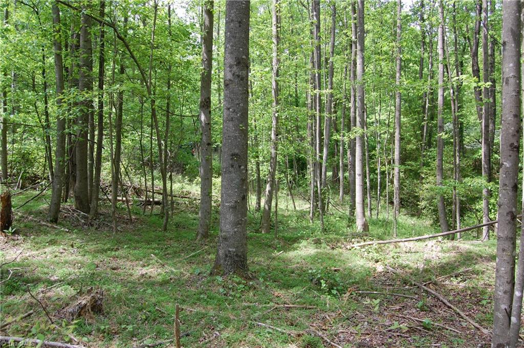 2136 Mining Ridge Church Road, Unit MINING RIDGE CHURCH Elkin, NC 28621 - Photo 6 of 9 Gallery Image 6