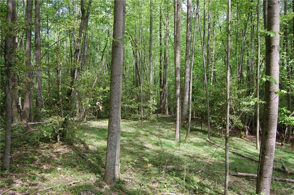 2136 Mining Ridge Church Road, Unit MINING RIDGE CHURCH Elkin, NC 28621 - Photo 7 of 9 Gallery Image 7