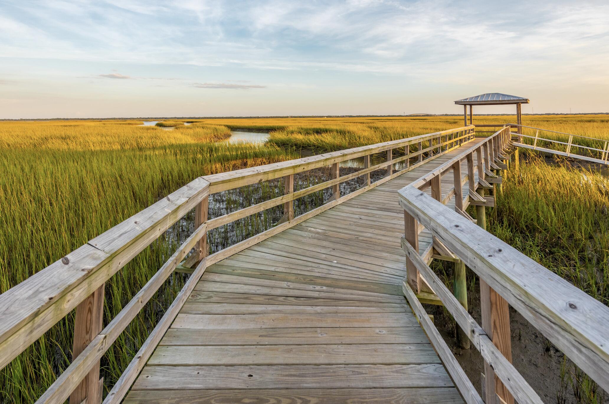1569 Red Tide Road Mount Pleasant, SC 29466 - Photo 50 of 58 Neighborhood dock