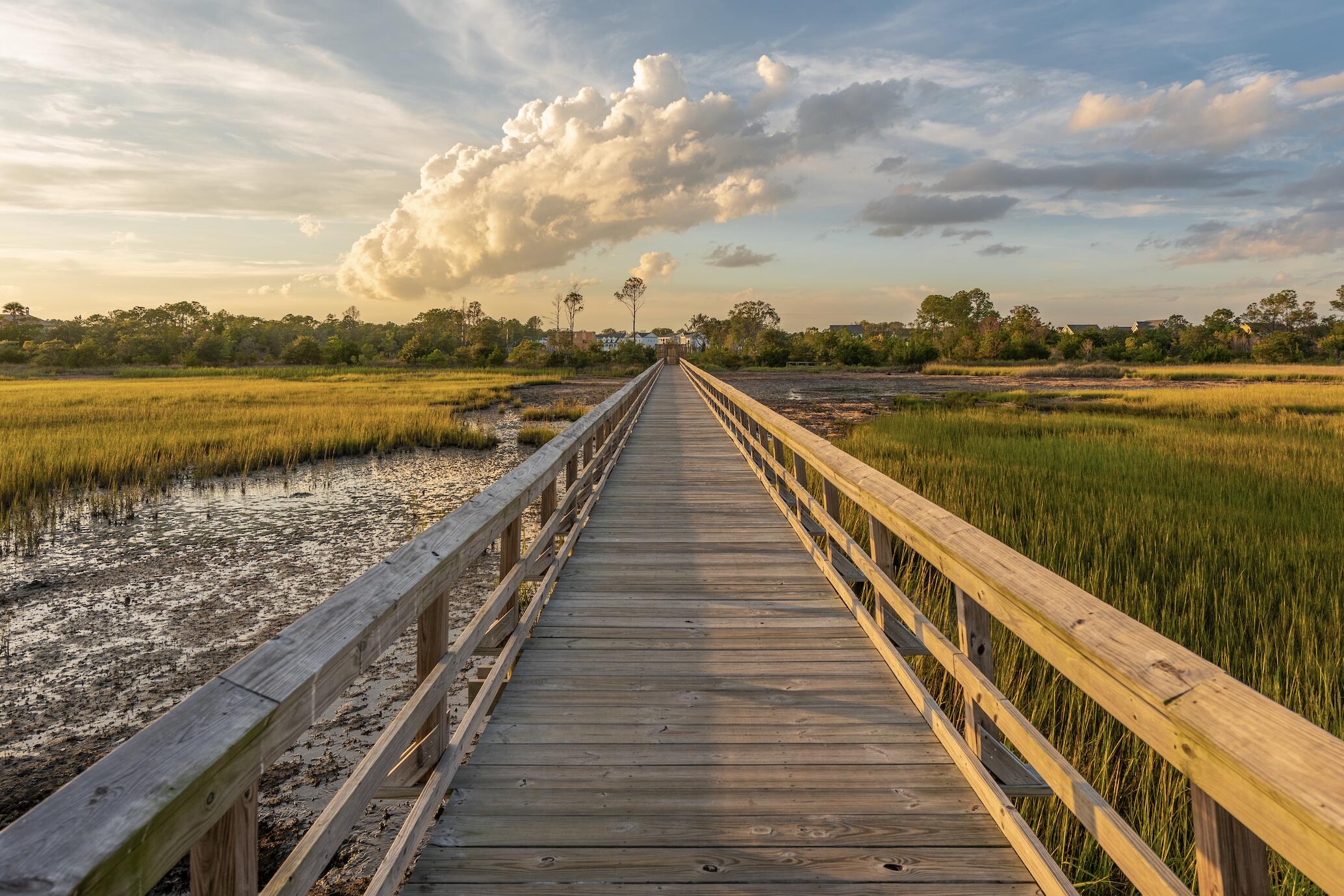 1569 Red Tide Road Mount Pleasant, SC 29466 - Photo 51 of 58 Neighborhood Dock